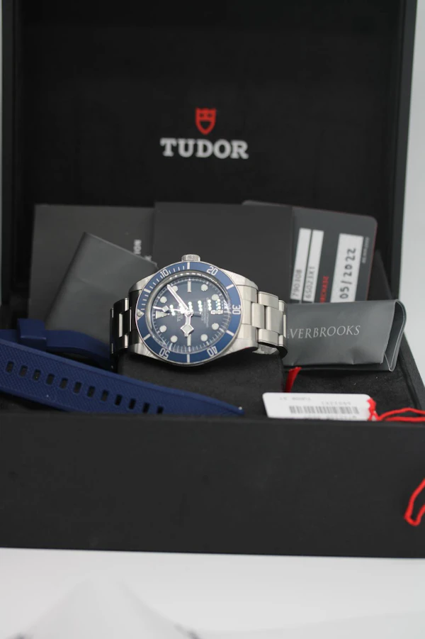 Tudor Blackbay Fifty-Eight 79030B - image 7
