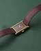 Cartier Tank Must de Cartier Rouge Burgundy Dial Manual Wind - image 9