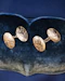 Downstairs at Grays: A Beautiful Pair of 9 Carat Yellow Gold (marked)  Oval Cuff Links Circa 1920 - image 1