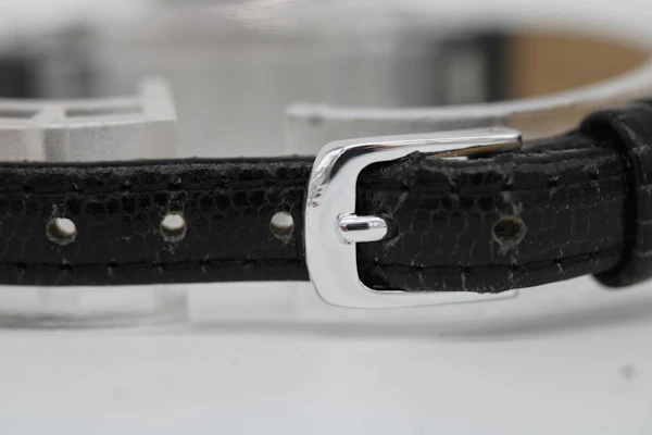 Omega Lady Matic - image 4