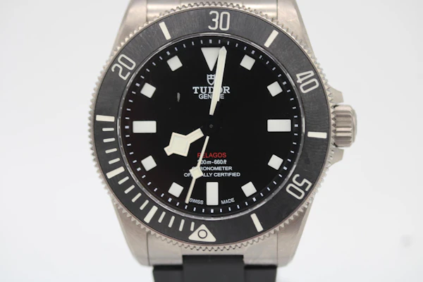 Tudor Pelagos 25407N - image 4
