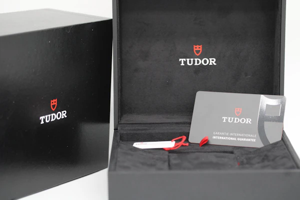 Tudor Pelagos 25407N - image 11