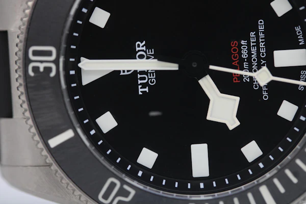 Tudor Pelagos 25407N - image 7
