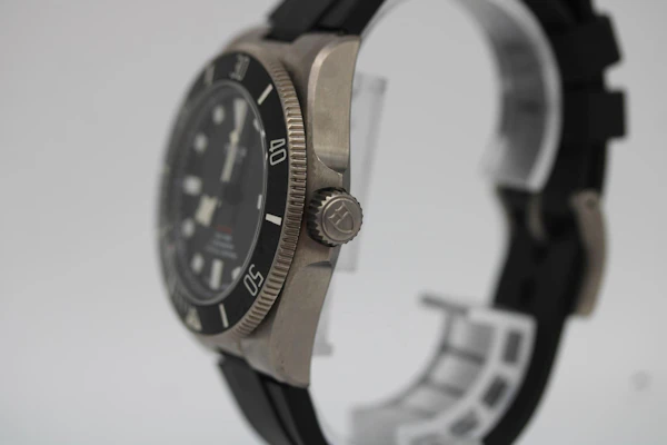 Tudor Pelagos 25407N - image 10