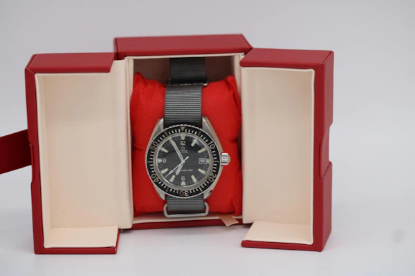 Omega Seamaster 300 166.024 - image 10