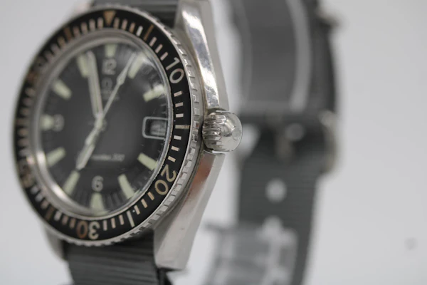 Omega Seamaster 300 166.024 - image 5