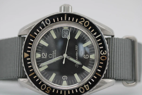 Omega Seamaster 300 166.024 - image 8