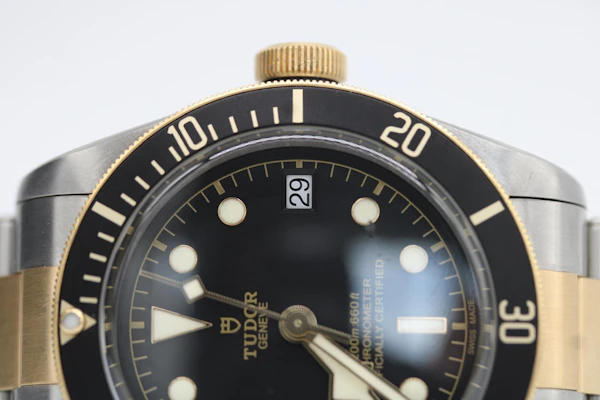 Tudor Black Bay S&G 79733N - image 6