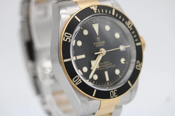 Tudor Black Bay S&G 79733N - image 2