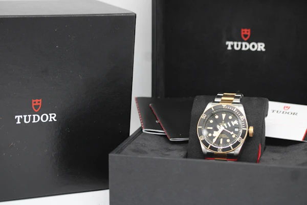 Tudor Black Bay S&G 79733N - image 9