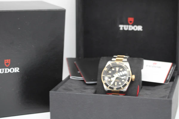 Tudor Black Bay S&G 79733N - image 10