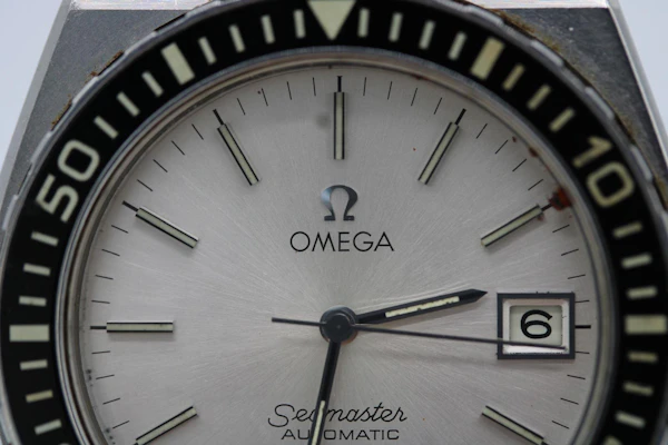 Omega Seamaster 120 166.0251 - image 2