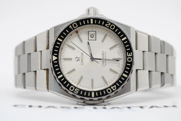 Omega Seamaster 120 166.0251 - image 8