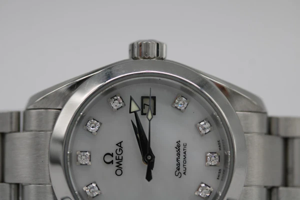 Omega Seamaster Aqua Terra 2563.75.00 - image 4