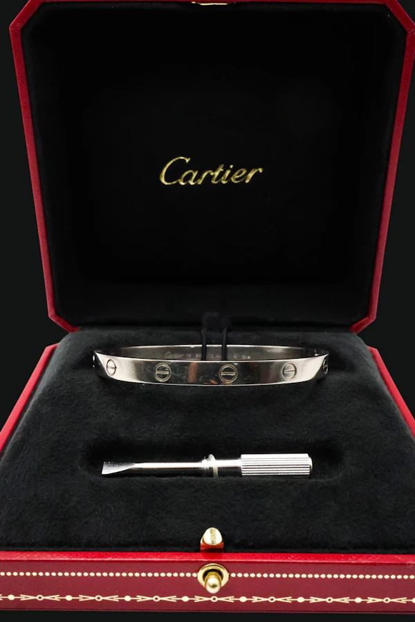 Cartier 18k White Gold LOVE Bracelet - image 1
