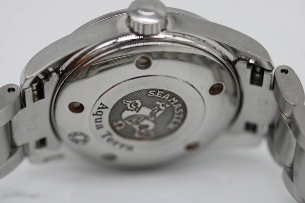 Omega Seamaster Aqua Terra 2563.75.00 - image 5
