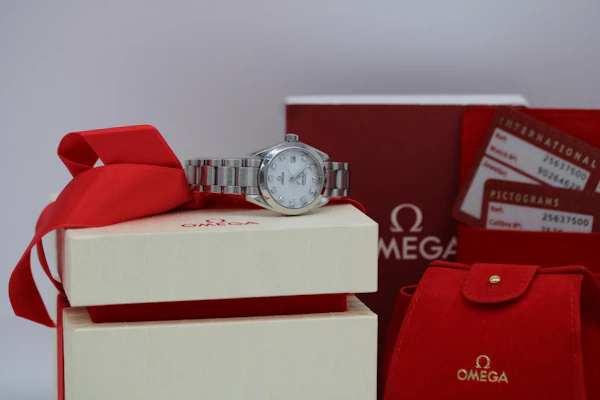 Omega Seamaster Aqua Terra 2563.75.00 - image 3