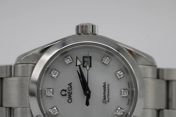 Omega Seamaster Aqua Terra 2563.75.00 - image 4