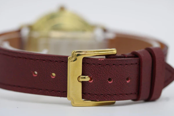 Bucherer Gold Plated 70's Serviced New Strap - image 5