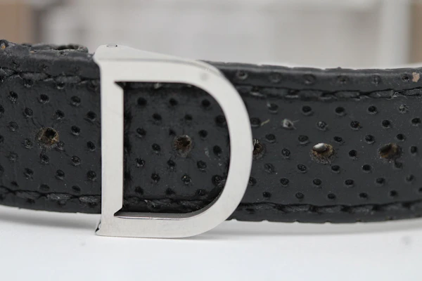 Alfred Dunhill Carwatch - image 9