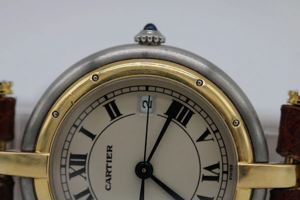 Cartier Panthère Cougar 183964 - image 8