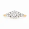 Edwardian 18ct Gold & Platinum Daisy Diamond Ring - image 1