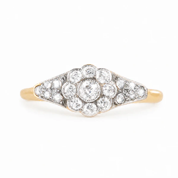 Edwardian 18ct Gold & Platinum Daisy Diamond Ring - image 1