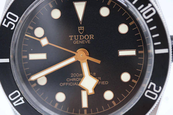 Tudor Black Bay 79230N - image 9