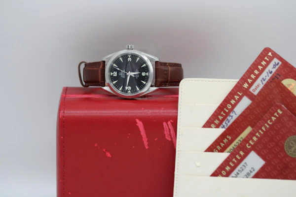 Omega Seamaster Railmaster 2804.52.37 - image 17