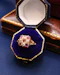 A very fine 18ct Yellow Gold Ruby & Diamond, Chequer Board Ring, Birmingham Hallmarks 1908 - image 2