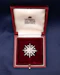 A fine Victorian Diamond Starburst Brooch, in 15ct Gold (silver tipped), with later Rhodium plating. Circa 1890. - image 2