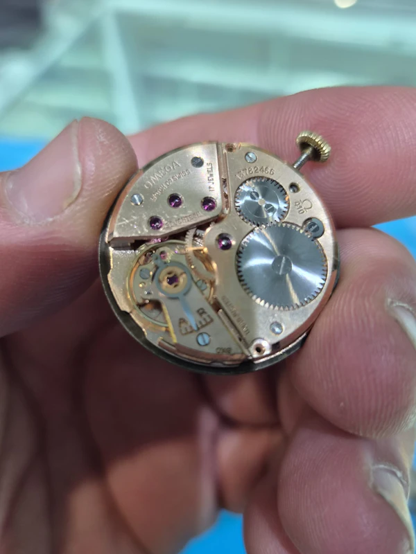 Omega Queens 14ct Gold Cal 410. 1952 Serviced and New Stra - image 15