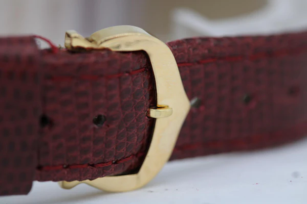 Cartier Panthère 1060 18ct Yellow Gold - image 5