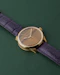 Sartory Billard Ref. SB04s Bespoke Tiger Eye Dial 2024 - image 7