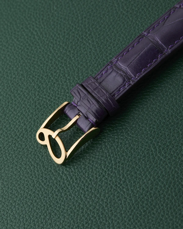 Sartory Billard Ref. SB04s Bespoke Tiger Eye Dial 2024 - image 12