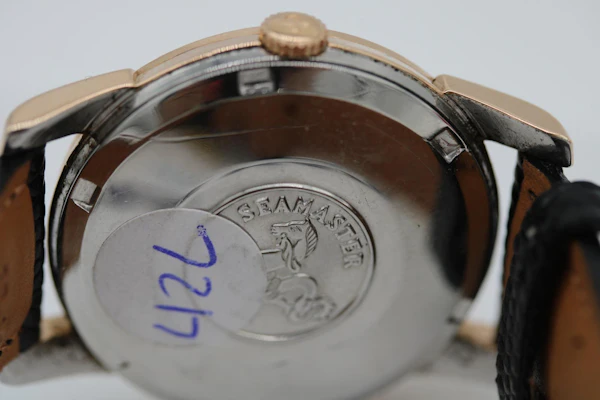 Omega Seamaster Automatic 166.009 - image 17