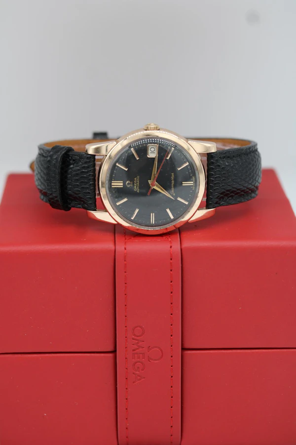 Omega Seamaster Automatic 166.009 - image 15