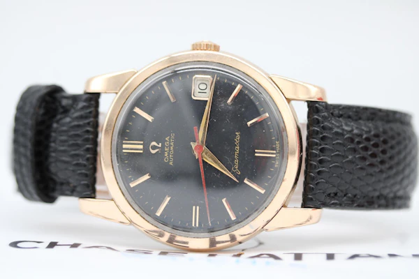 Omega Seamaster Automatic 166.009 - image 14