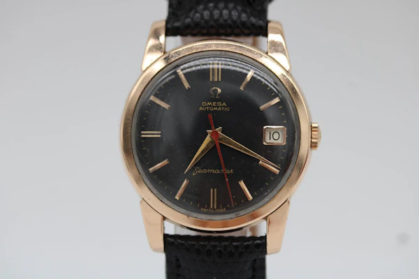 Omega Seamaster Automatic 166.009 - image 11