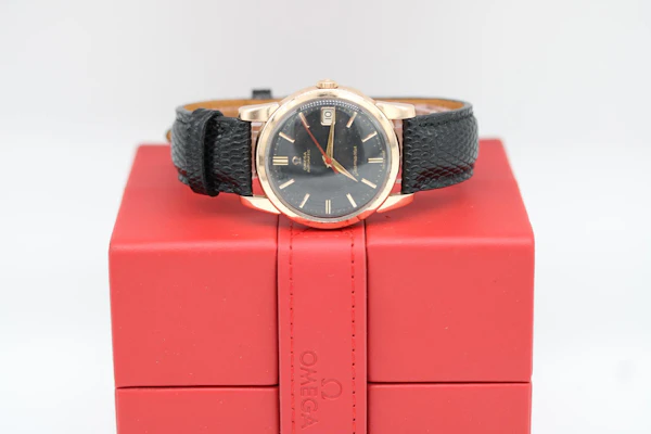 Omega Seamaster Automatic 166.009 - image 16
