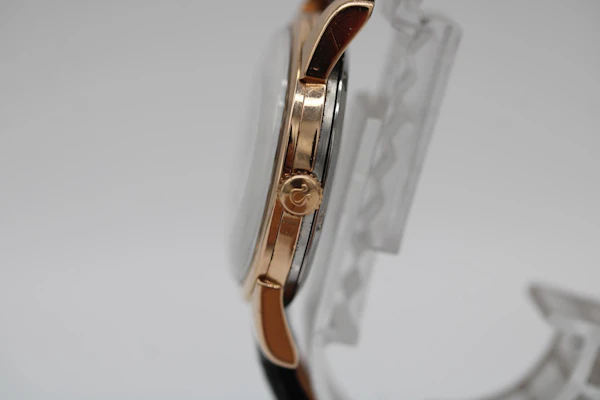 Omega Seamaster Automatic 166.009 - image 7
