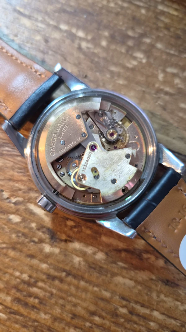 Omega Seamaster Automatic 166.009 - image 3