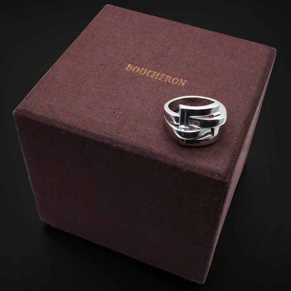 Parisian Architecture on the Hand: The Boucheron Interlocking Ring - image 2