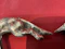 Antique silver corkscrew & bottle opener as running fox - image 3