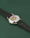 Omega Ref. 2782-5SC Bumper Tropical Dial 1954 - image 8