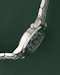 Omega Seamaster Professional Ref. 2561.80.00 Quartz 1998 - image 5