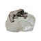 Russian silver bear on ice rock, St Petersburg, c.1890. - image 2