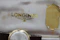 Longines 9ct Vintage Watch Original Box New Strap - image 9