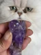 Carved Seal of Maltese Falcon in Amethyst Ca 1880 - image 6