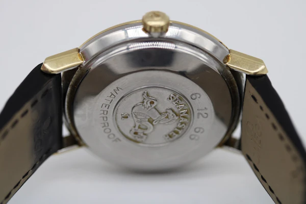 Omega Seamaster Deville 166.020 - image 4
